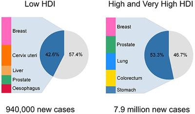 Global Cancer Inequalities